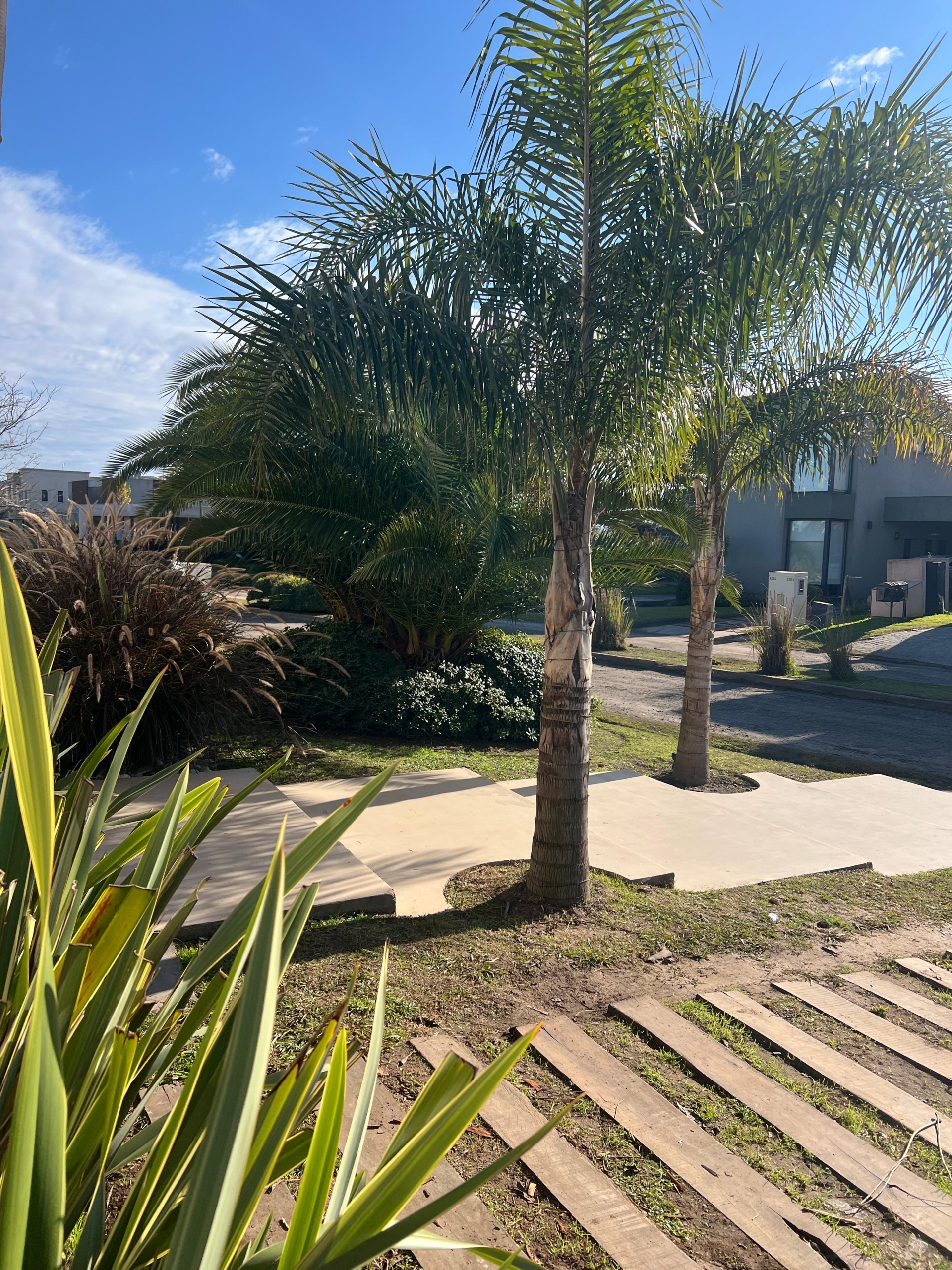 Casa en alquiler- san Vicente- ruta 58