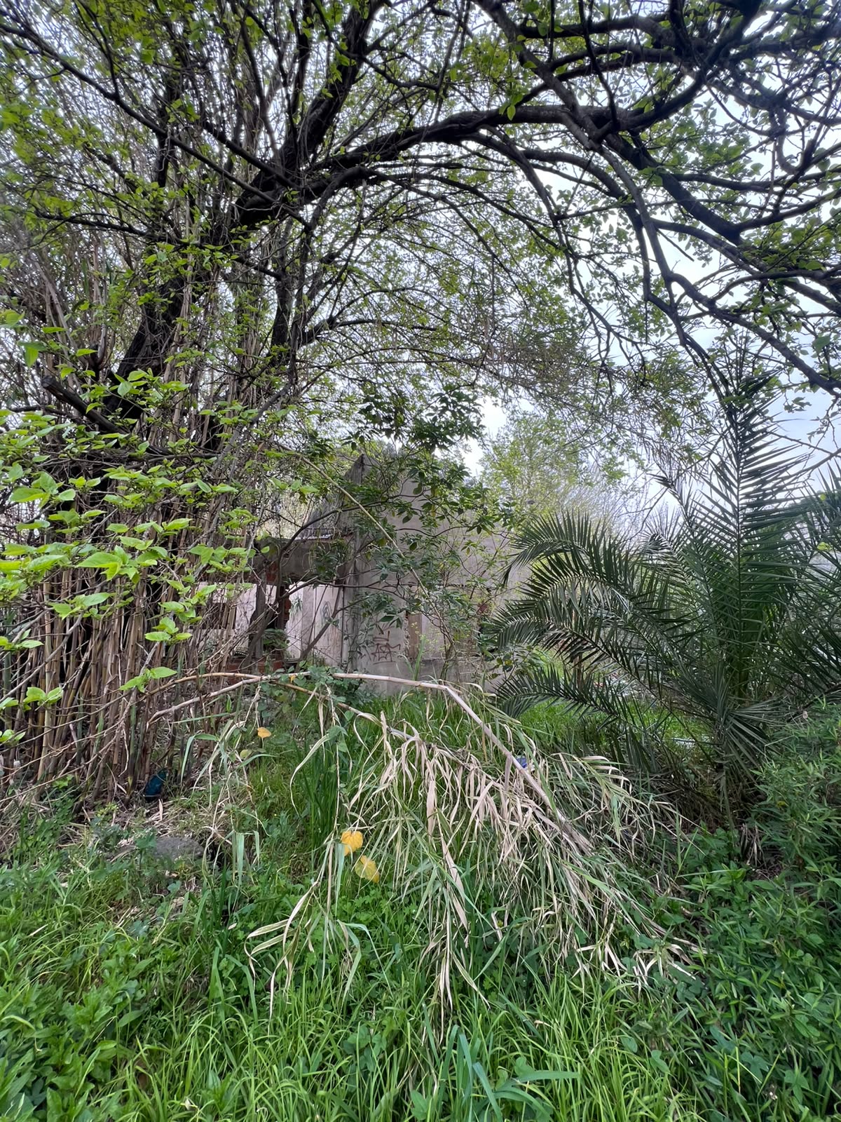 0b2fc746-8a7f-47fa-a123-9d8719bbd754 Terreno en venta – Banfield – Lomas de Zamora