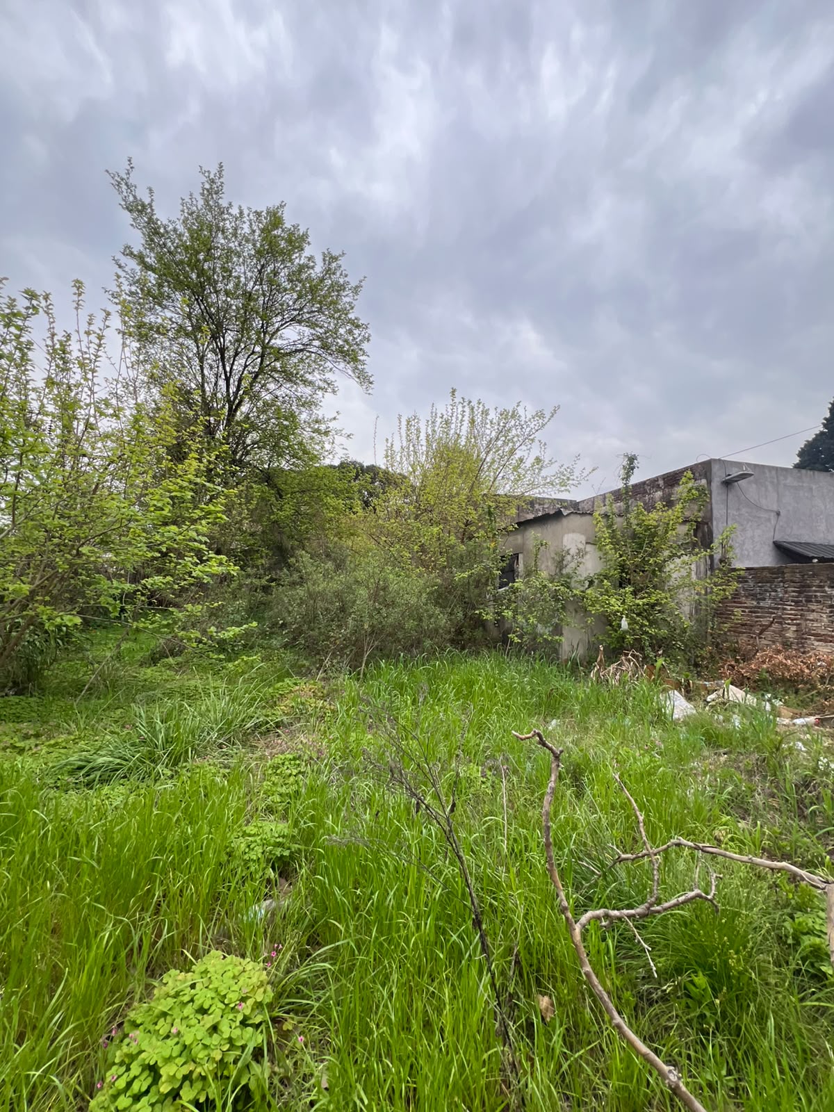 6b03ed91-59a9-4be0-aa2c-392f4c3f0560 Terreno en venta – Banfield – Lomas de Zamora