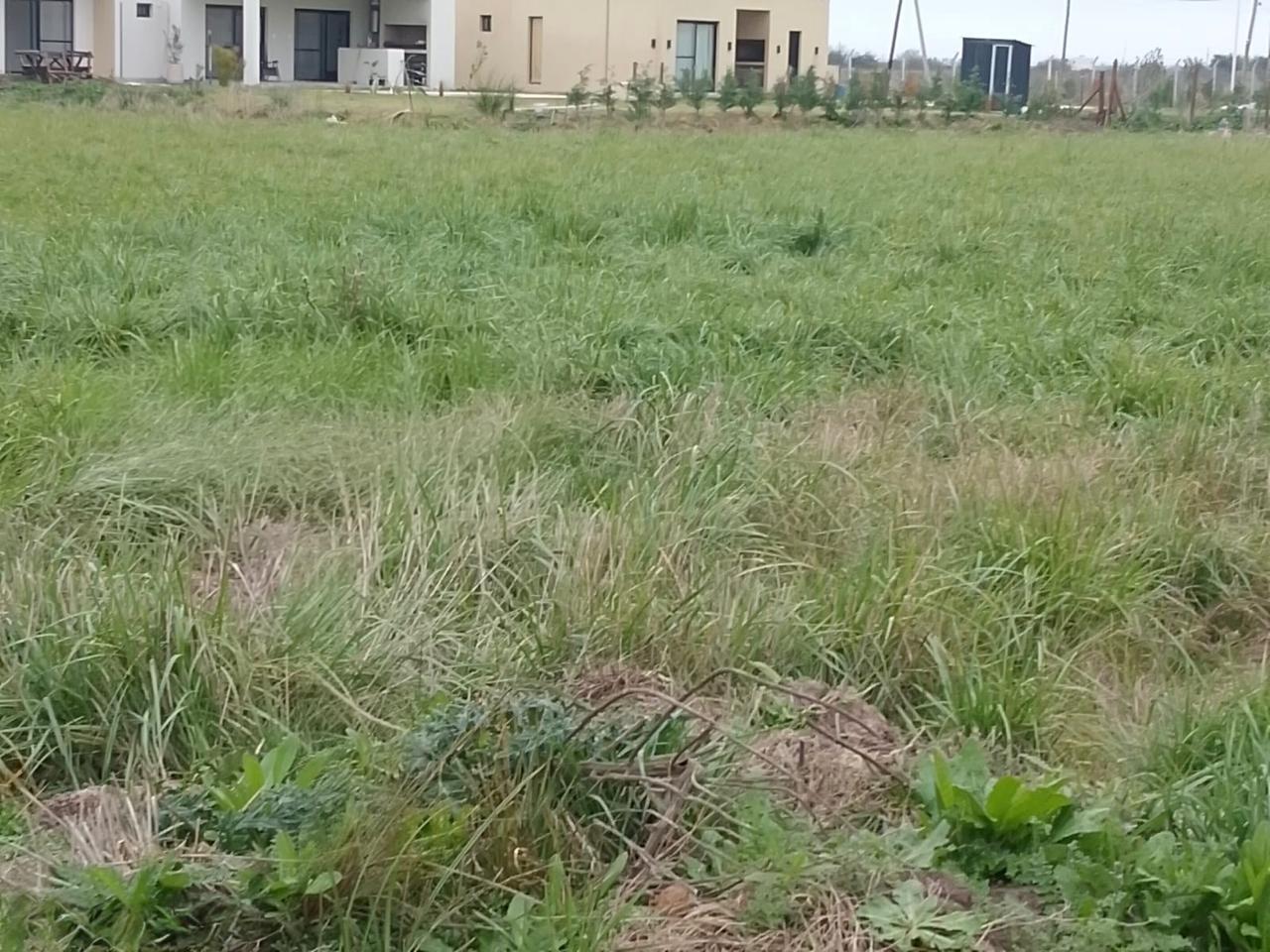 3a49e885-3425-4ee2-9a3f-87cff66417cc Oportunidad!!! Lote en venta – San vicente – Canning