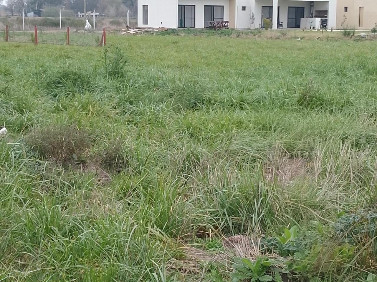 8ccdb3f8-e234-47f6-83af-29b2de8d6cbf Oportunidad!!! Lote en venta – San vicente – Canning